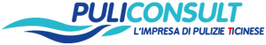 policonsult-logo
